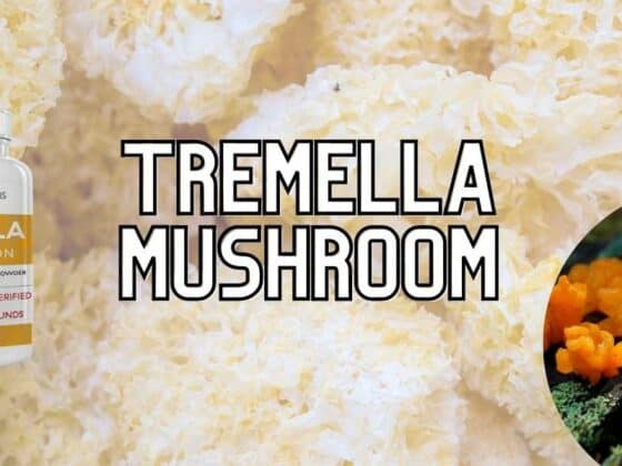 tremella mushroom benefits