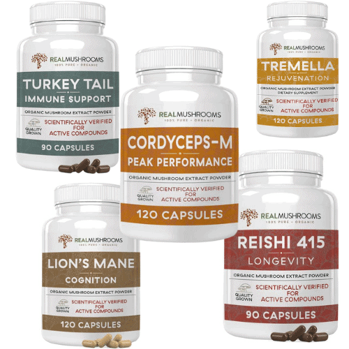 Best Mushroom Supplement Brands For Functional Mushrooms Drug Genius