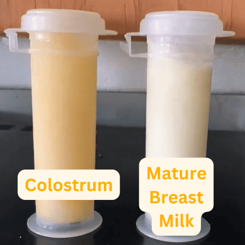 Colostrum compared to mature breast milk