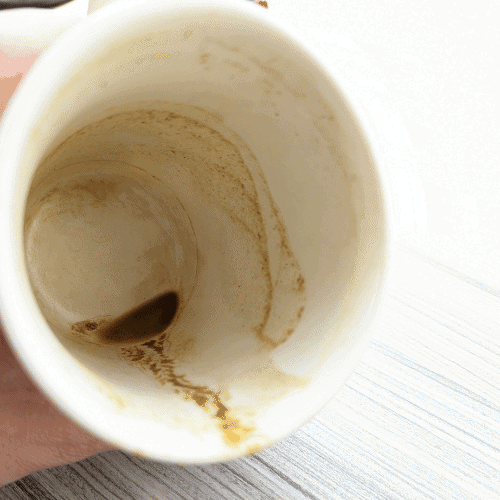 MUDWTR Sediment In Cup